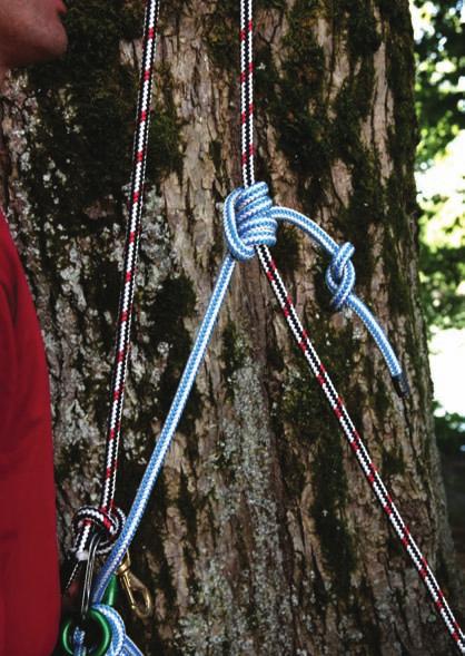 TRADITIONAL SYSTEM The traditional climbing system utilizes a climbing line dead-ended to the