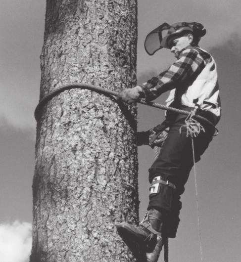 Fall protection devices for logging Rules Fall protection devices and climbing equipment for logging should comply with either ASTM F 887 91a Personal Climbing Equipment, or any other Standards