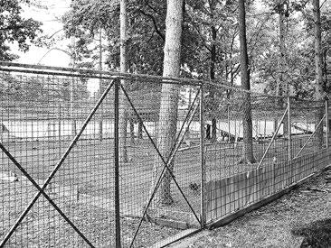 Shelters (Figure 10) are facilities for breeding of new species of wildlife or the introduction of species from artificial breeding of wild animals, and they are intended as better utilization of