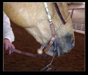 At a non-usef WDAA competition, a designated individual must assume the responsibility of overseeing the checking of tack and bits.