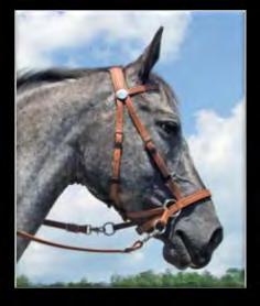 A standard snaffle is a conventional O-ring, Egg Butt, or D-ring, all with rings having an outside diameter no smaller than 2 inches (50.8 mm), nor larger than 4 inches (101.6 mm).