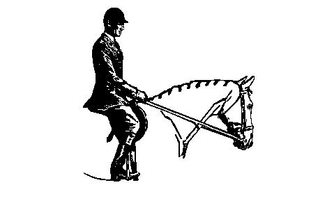 Position in Motion At the walk and slow trot, body should be vertical with slight motion in the saddle. At a posting trot, the body should be inclined forward with slight elevation in the saddle.