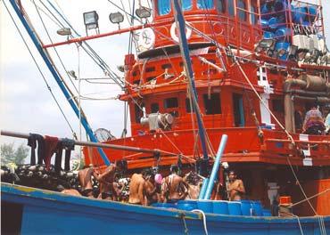 Figure 4.2: Kelantan registered Malaysian vessels moored at Sungai Patani fishing port, Thailand 2004-05.