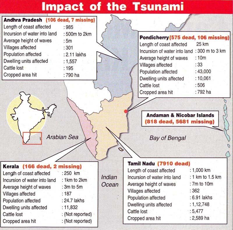 The impact of Tsunami in India A tsunami is not a single wave, but a series of travelling ocean waves generated by geological disturbances near or below the ocean floor.