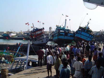 Roypuram Major Fishing Harbour,  3C: