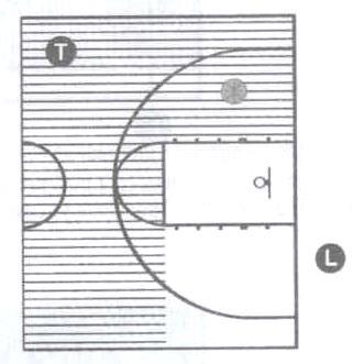 Trail s Responsibilities in the Front Court Always have the play in front of you Watch for violations and fouls Hand checks, hits, and