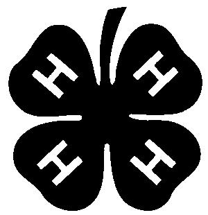 WHAT IS 4 H WORK? 4 H work is that part of the program of the Cooperative Extension Service of the University of Arkansas which serves youth.