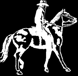 Western Pleasure Rules 2012 Current Coggins & Rabies Certificate Required within 1 yr. 1 Riders & Handlers to be properly attired for all classes.