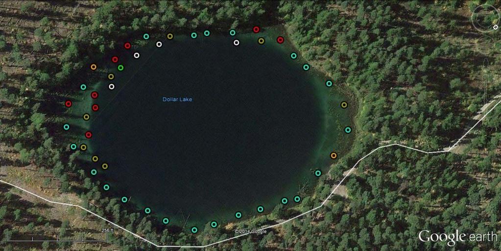 A macrophyte (plant) survey was conducted on Dollar Lake on September 4, 214.