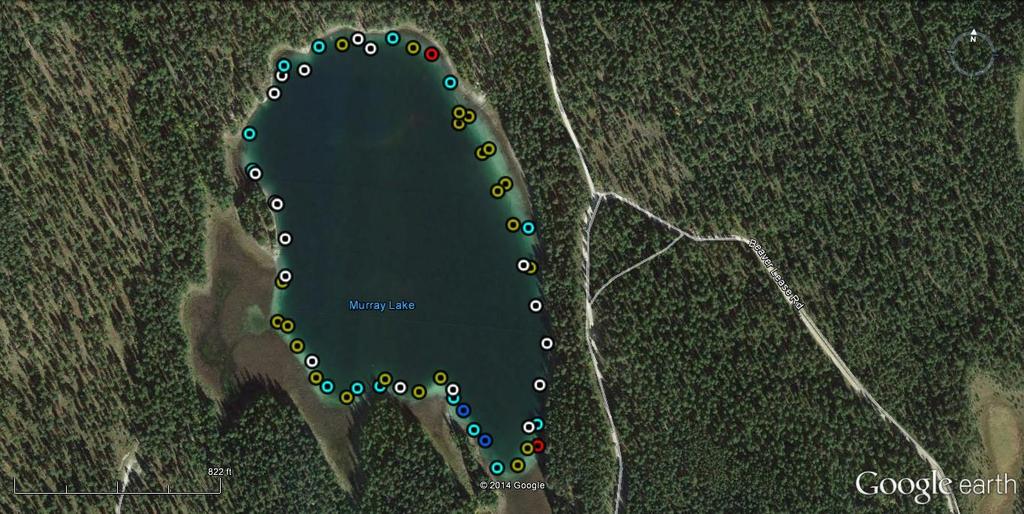 A macrophyte survey was conducted on Murray Lake on September 4, 214. A total of 46 sites were surveyed for aquatic plants, shoreline plants and substrate.