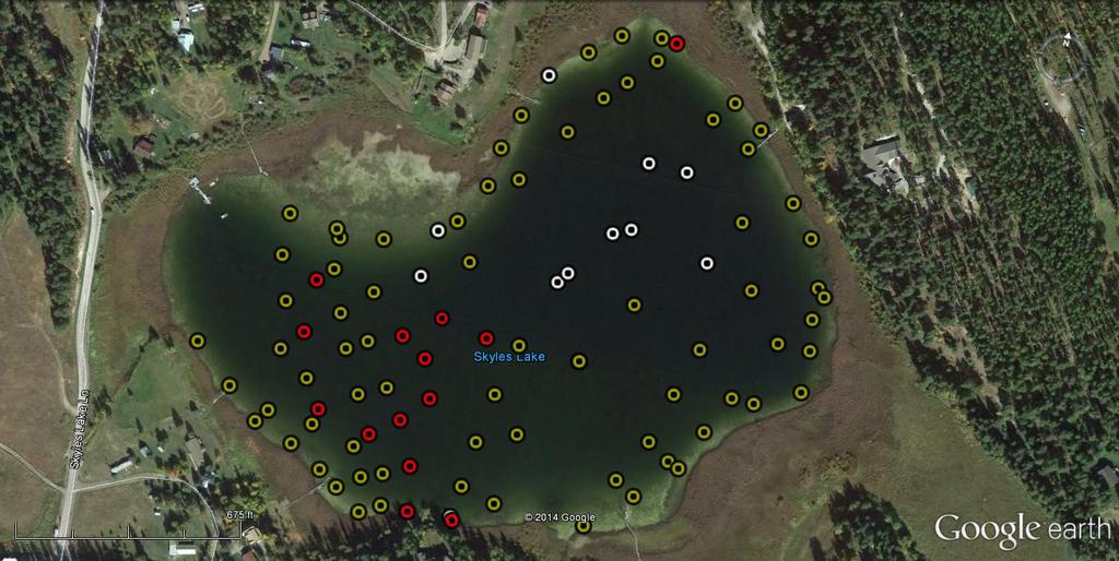 A macrophyte survey was conducted on Skyles Lake on September 2, 214. A total of 1 sites were surveyed for aquatic plants, shoreline plants and substrate.