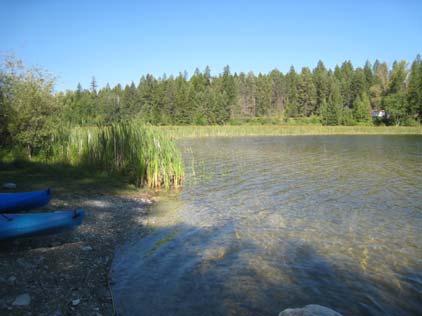 Northern milfoil was discovered in Dollar Lake, making it a good candidate for Eurasian milfoil infestation. esy Emergent shoreline vegetation is very dense on the north end of the Spencer Lake.