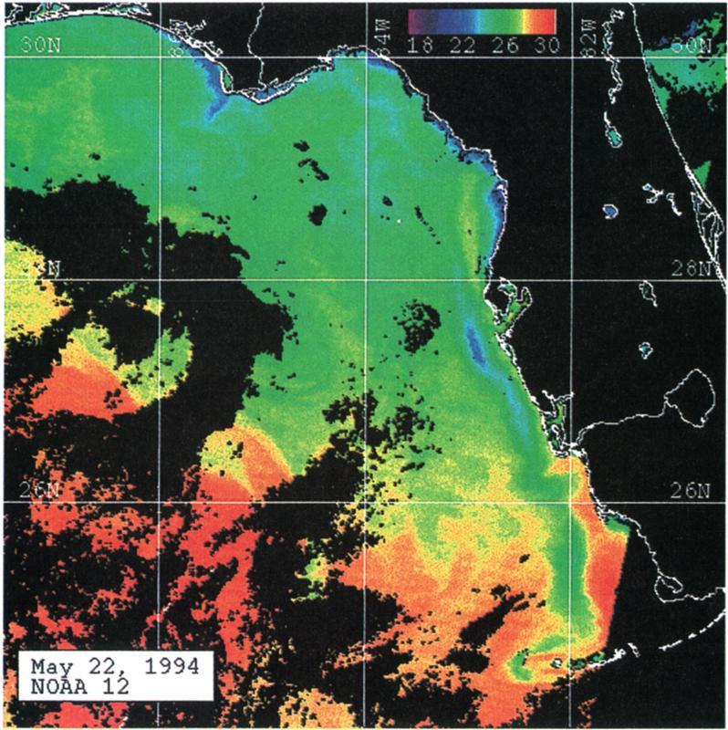 WEISBERG ET AL.: AN UPWELLING CASE STUDY ON FLORIDA'S WEST COAST 11 461.ON 26N 1994 Plate 1. Sea surface temperature by satellite advanced very high resolution radiometer (AVHRR) on May 22 1994.