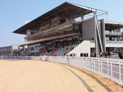 The Hippodrome de Lyon Horse racing is extremely popular in France, as well as being of considerable economic importance.