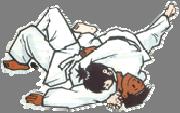 purpose and types: physical and The reason for the efficiency of Judo techniques is the