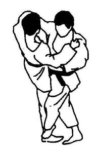 Kesa-gatame which use the side of the chest and shiho-gatame which are fully face down ( heart to heart ).