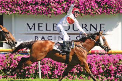Stakes Caulfield Open Open Hcp 1400 $350,000 Orange County (NZ) Damien Oliver Brian Mayfield-Smith Patinack Turnbull Stakes Flemington 3yo+ Open SWP 2000 $500,000 Littorio Steven King Nigel