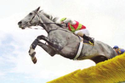 In a dominant season, the Fran Houlahan and Brian Johnston-trained jumper was victorious in the Grand National, Hiskens and Crisp Steeplechases in Victoria, together with the Yalumba Classic Hurdle