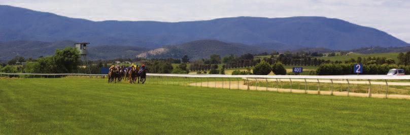 Racecourse and Training Infrastructure Plan During May RVL, in conjunction with CRV, released its five year Racecourse and Training Facilities Infrastructure Plan providing a clear future direction