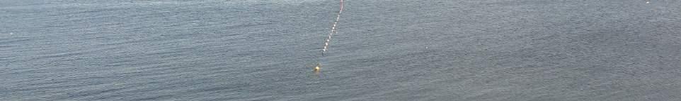 Photo. Sometimes the length of guiding net is up to 1 or even meters.