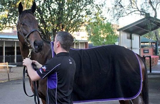 WINX VISITS MOONEE VALLEY Winx visited Moonee Valley for the first time since last year s Cox Plate to gallop on Tuesday morning.