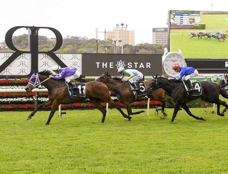 l CHRIS WALLER RACING - WINNERS THIS WEEK INVINCIBELLA 4yo M I Am Invincible - Abscond by Galileo This talented mare made it back to back city wins when scoring at Randwick on Saturday over 1600m.