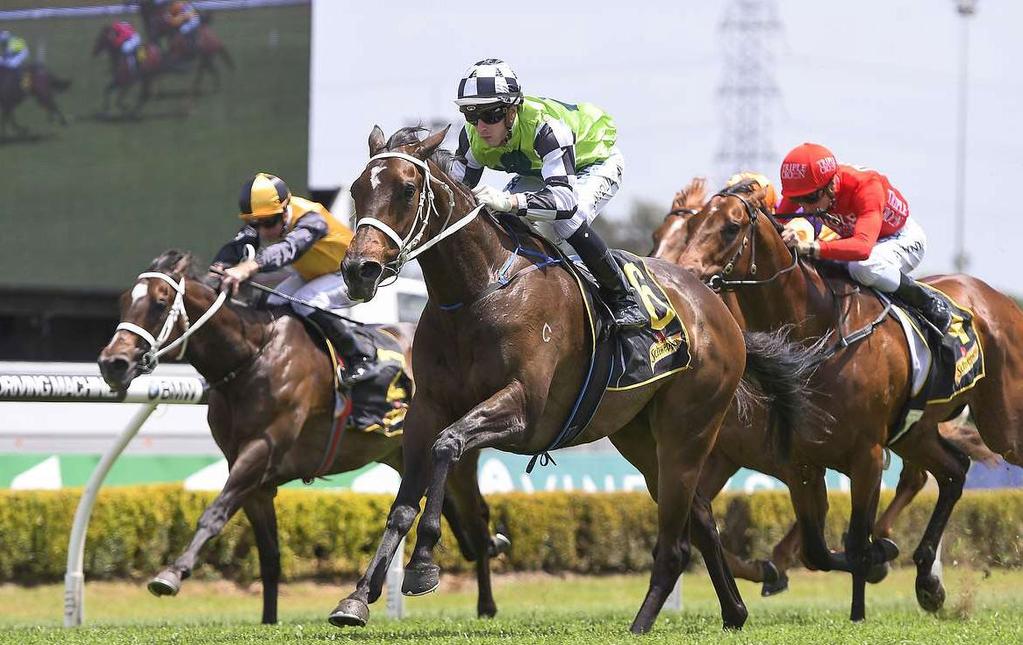 Fastnet Winner for Waller Tara Madgwick - Wednesday, 18 October 2017 The only filly in the 1250 metre three year-old maiden at Canterbury on Wednesday was Fastnet Rock filly Unforgotten, who made