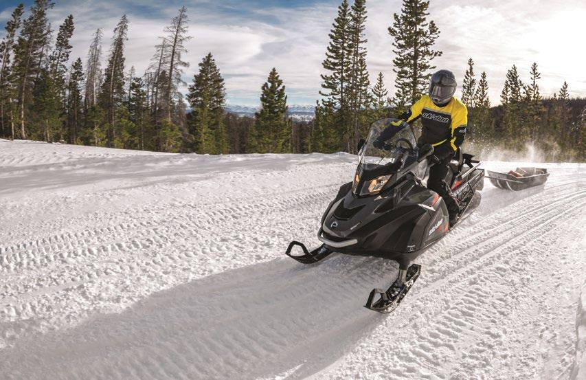 Cobra SWT Durable, high-performance design for wide sleds The same durable, high-performance design as the Cobra WT, with even wider track for 24" wide applications.