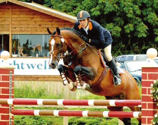 KWPN - Bay Stallion 2002-166cms Fully Approved AES Nimmerdor Heartbreaker Farn Ramonaa Barcarole Silvano Orchidee Larome