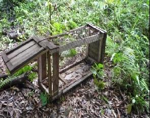 Trap used to capture small
