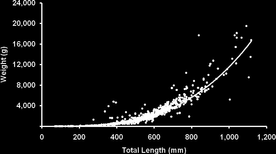 Weight-length and Growth Data for Blue Catfish Stewart et al. 142 Figure 1.