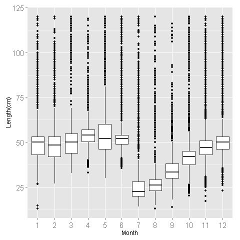 Fig. 1 Box-Plots of monthly size