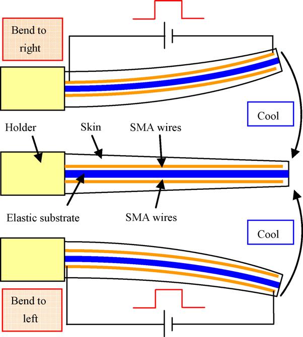 356 Z. Wang e al. / Sensors and Acuaors A 144 (2008) 354 360 Fig. 4. Experimenal resuls of bending of biomimeic fin. Fig. 3. The srucure and he schemaic of bending movemen of biomimeic fin.