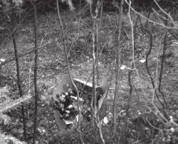 8 Viimsi Teataja Mets puhtaks? Viimsi metsaülem Madis Talijärv (paremal) ja metsnik Kalle Meier näitavad toimetusele nõutult metsaalust, mida paar nädalat tagasi koolilapsed innukalt Mets puhtaks!