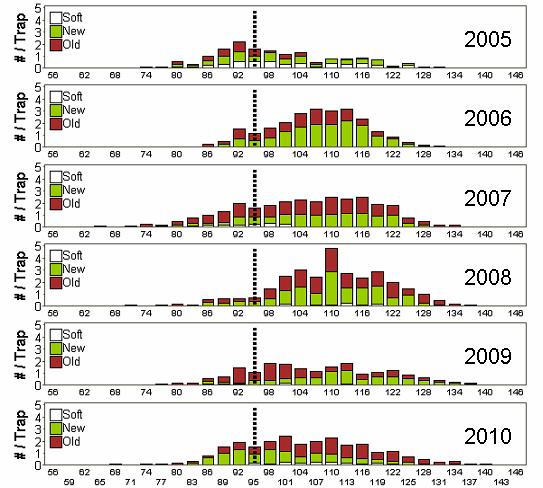 CPUE (kg / trap) 2 15 1 5 Kept (sc) Shell 2 (new hard) Shell 2 + 3 Shell 1 (soft) Shell 3 (old hard) 21 23 25 27 29 Figure 12: Trends in CMA 3D observer catch rates of exploitable crabs from set and