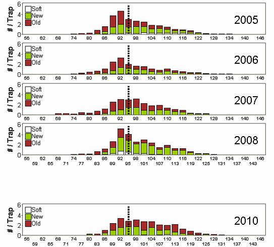 CPUE (kg / trap) 25 2 15 1 5 Kept (sc) Shell 2 (new hard) Shell 2 + 3 Shell 1 (soft) Shell 3 (old hard) 1999 21 23 25 27 29 Figure 161: Trends in CMA 6B observer catch rates of exploitable crabs from