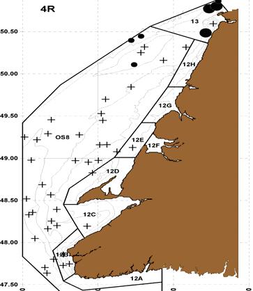 27 2 29 21 Figure 236: Spatial distribution of catches of legal-sized males in the Div. R summer trawl survey.