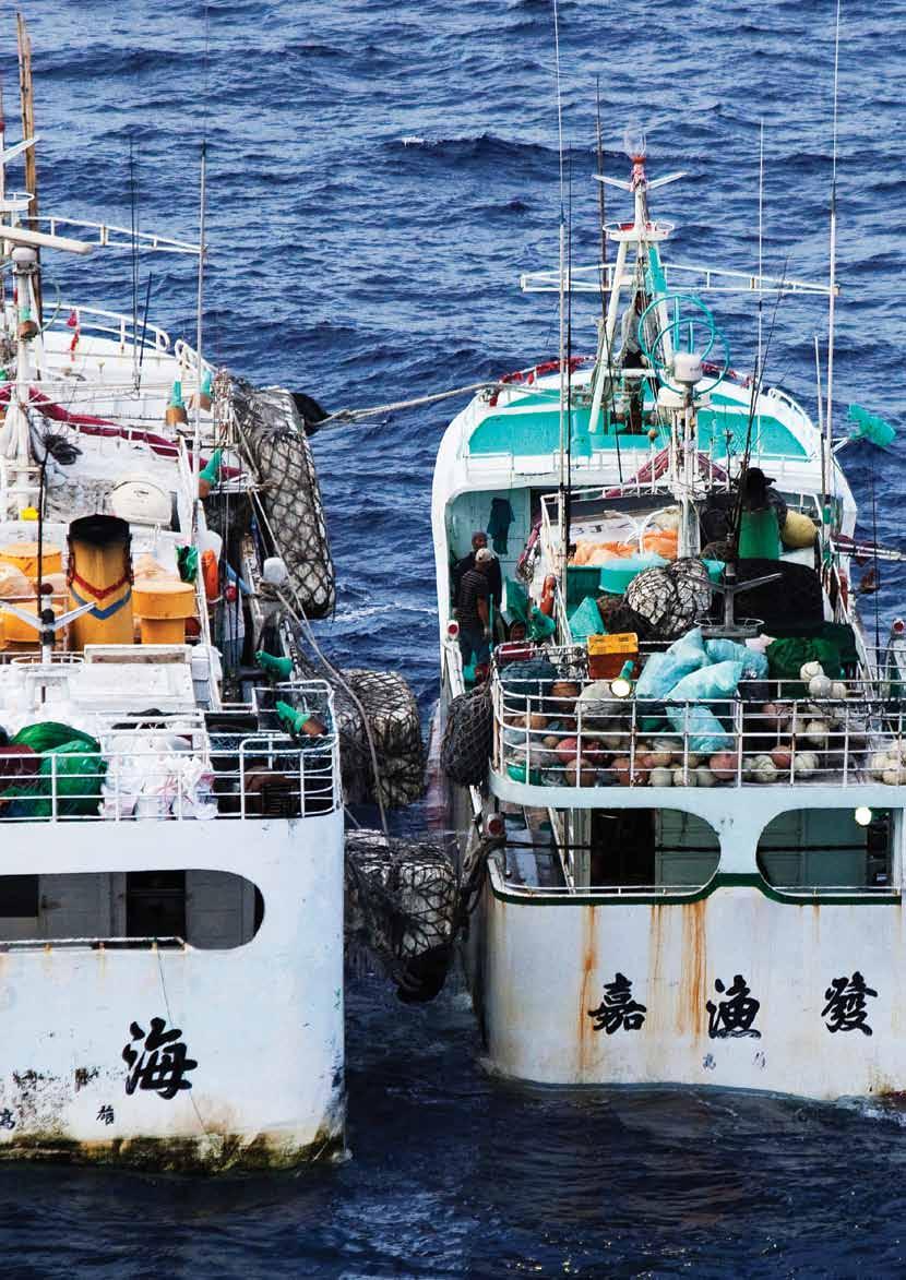 section two Image Taiwanese longline fishing vessels Her Hae (left) and Jia Yu Fa (right)
