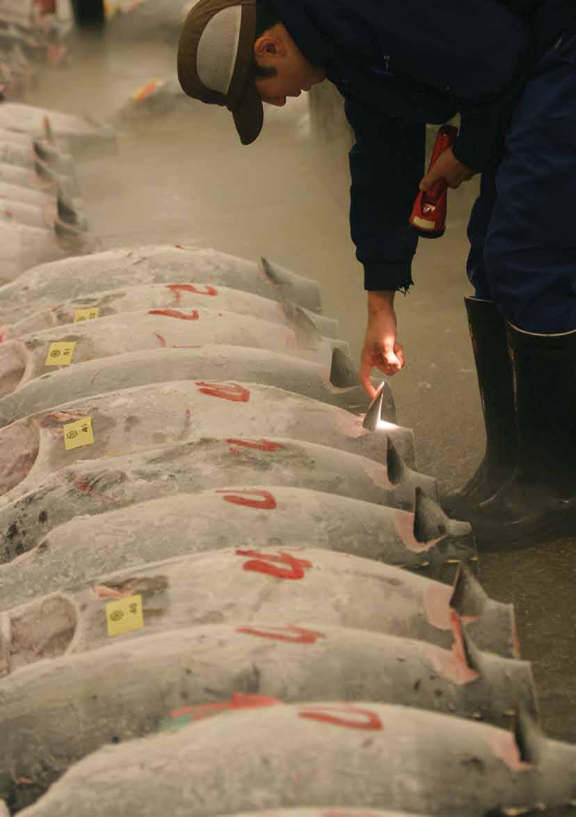 GREENPEACE / JEREMY SUTTON-HIBBERT section one Regional Fisheries Management Organizations (RFMOs) are currently failing in their mandate to ensure sustainable management of tuna fisheries, including