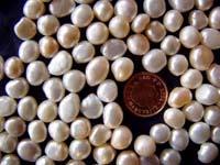 Scottish Government Freshwater pearls come in many shapes, sizes and colours As well as looking pretty, mother of pearl protects the soft parts of the mussel from any parasites that get into the