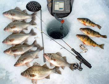 john viar photo The most important advancement in ice fishing is the electronic fish locator.