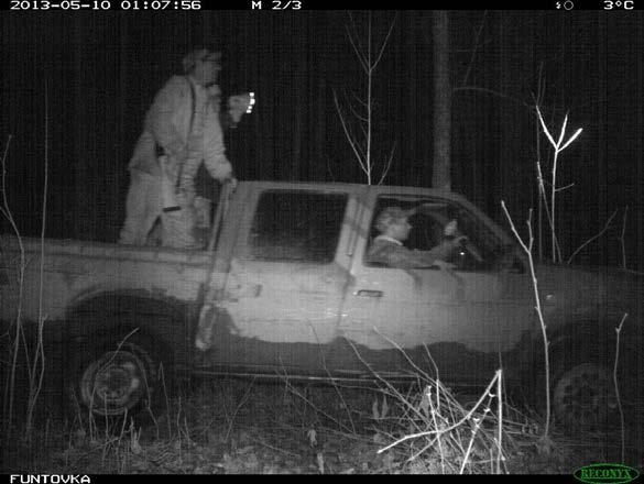 Figure 5. Poachers cruise an unused logging road at night, spotlighting for deer. Photograph WCS Russia. Figure 6.