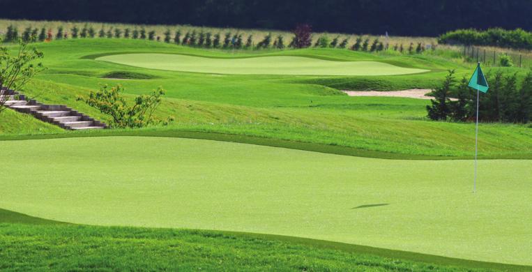 GOLF COURSES Golf courses are the fastest growing segment of the Southwest Greens product line.