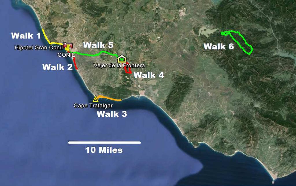Conil de la Frontera, February 2014 Walking programme. WALK 1 Coast walk from Conil to the North. Variable length: 2, 5, 9 or 11 miles WALK 2 Coast walk from Conil to the South.