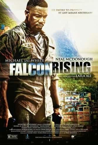 Falcon Rising 2014, United States This is Michael Jai White doing what he does best kickin ass.