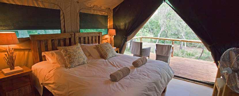 INTRODUCTION Rukiya Safari Camp is located in the Wild Rivers Nature Reserve in the greater Kruger region of South Africa.