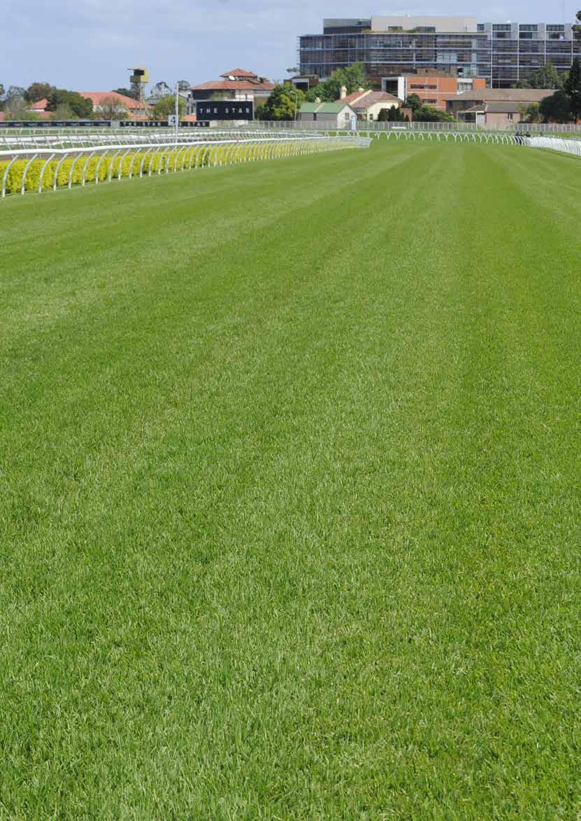 Track Specifications COURSE PROPER Fully Grassed Circumference 2224m Length of straight 410m Width of straight at winning post 28m KENSINGTON TRACK Fully Grassed Circumference 2100m 1600m 1550m 1800m