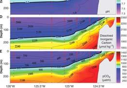 75) on the continental shelf of western North America Vertical sections