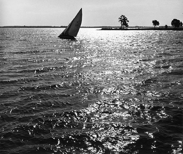 Lens on the Bay Larrabee liked to photograph people, and she got close enough to this Moth and Penguin heading out from the mouth of the Corsica River in this 1951 regatta.