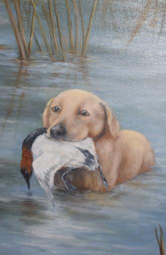 Brian sent in his trusty labrador retriever, Fritz, and was able to get a great photograph of him retrieving the duck.